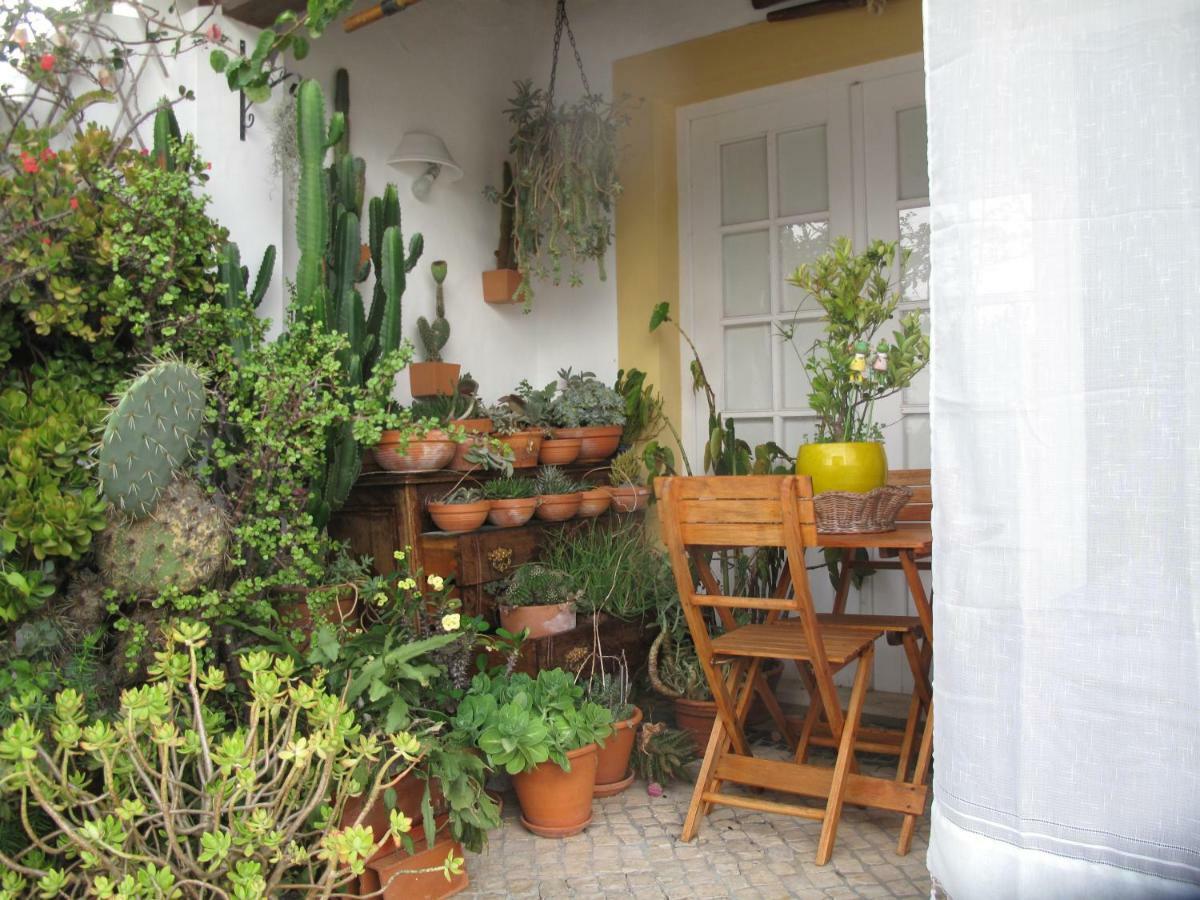 Hotel Casa Dos Cactos à Vila Nova de Milfontes Extérieur photo