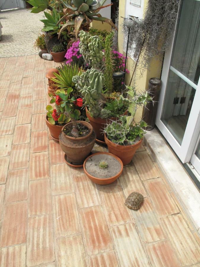 Hotel Casa Dos Cactos à Vila Nova de Milfontes Extérieur photo